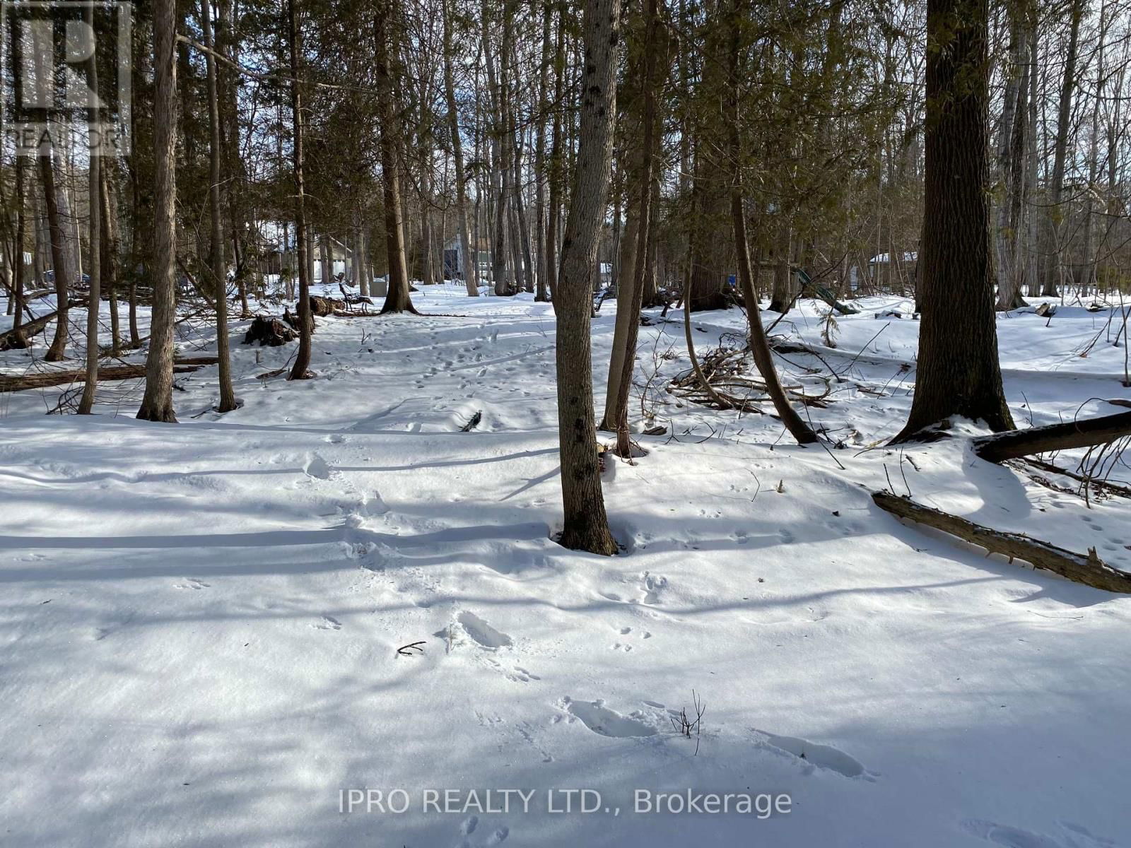11 KNOX ROAD EAST Image 21