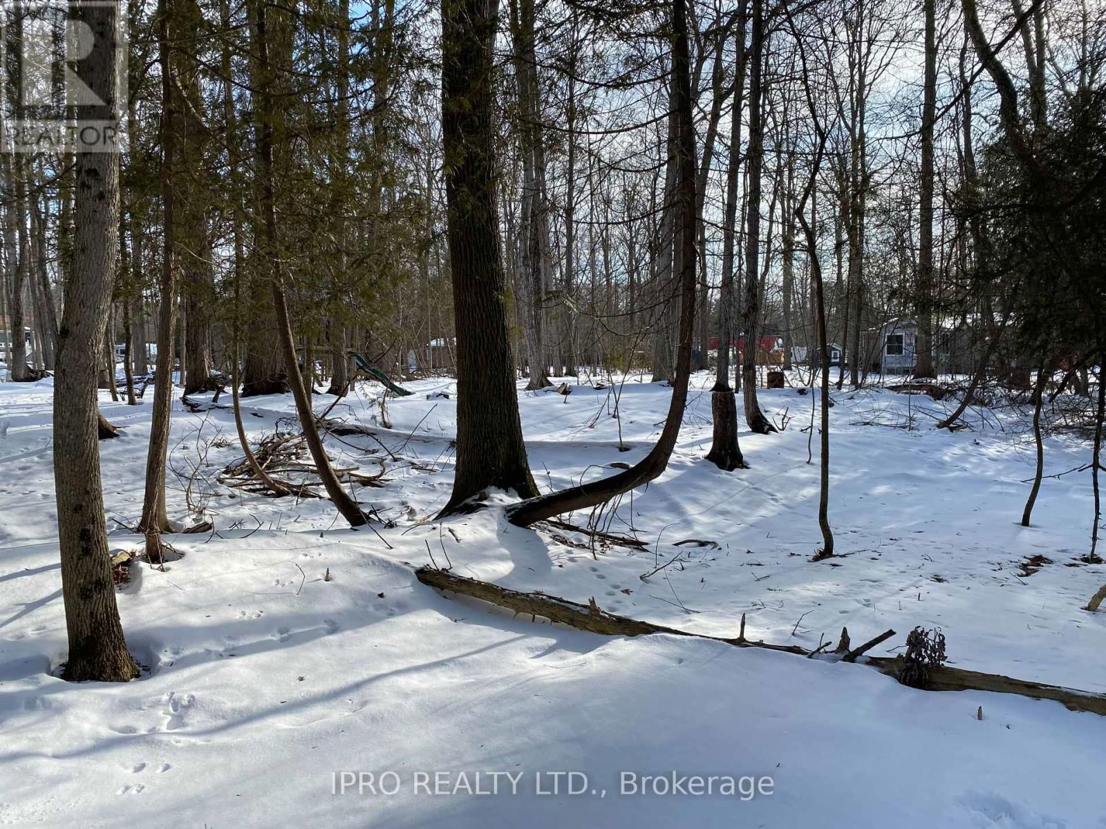 11 KNOX ROAD EAST Image 22