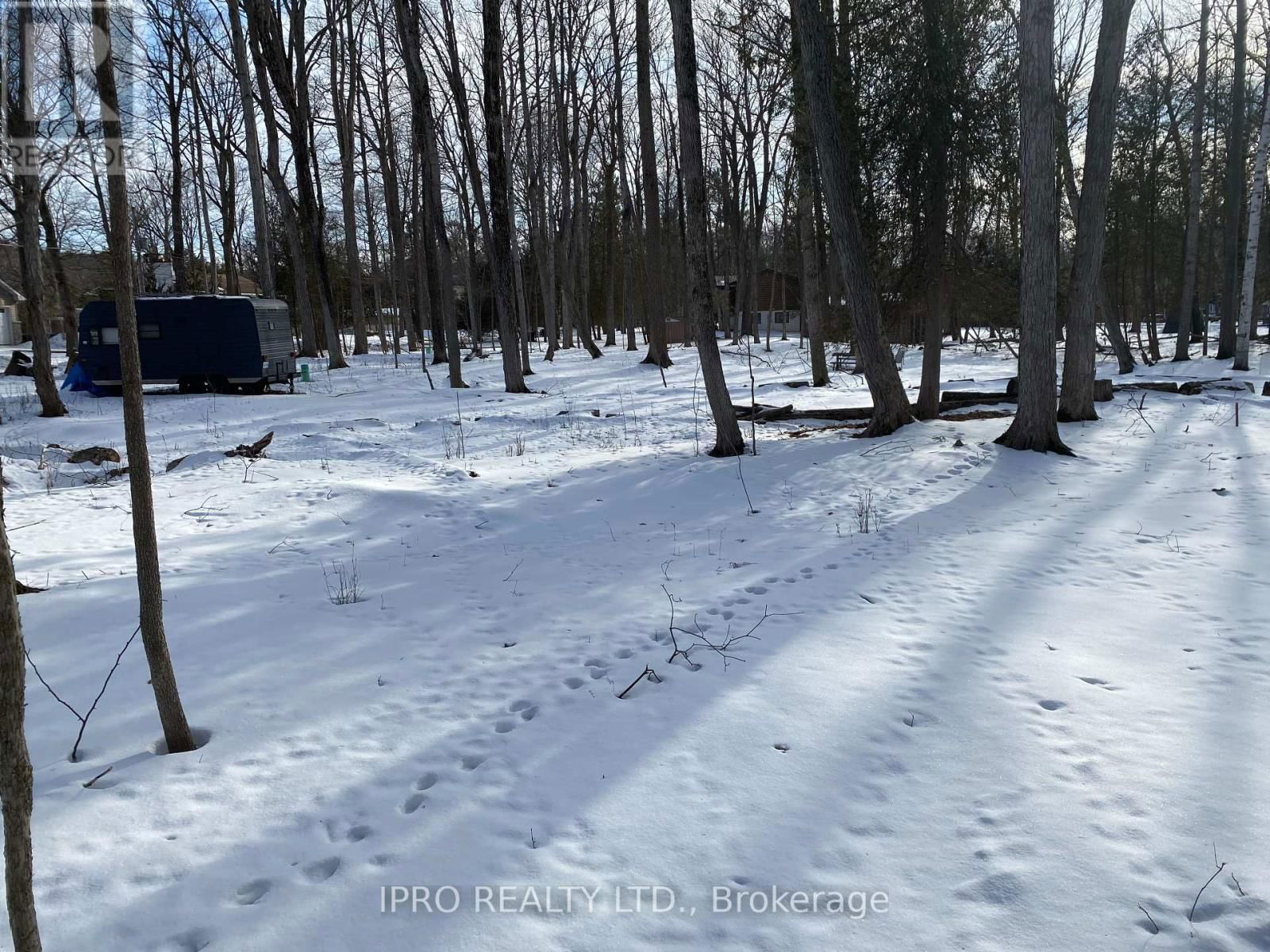 11 KNOX ROAD EAST Image 24