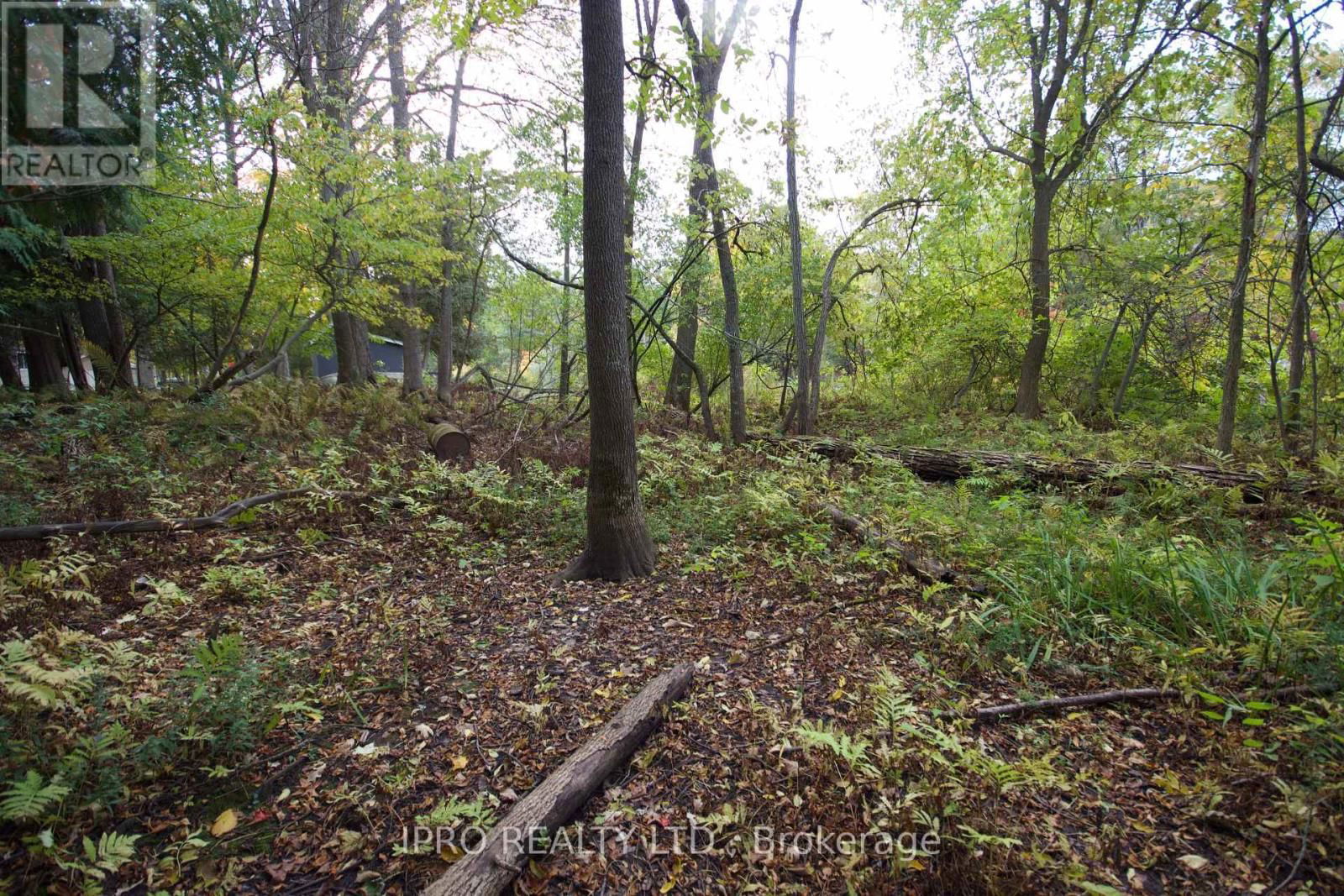 11 KNOX ROAD EAST Image 9