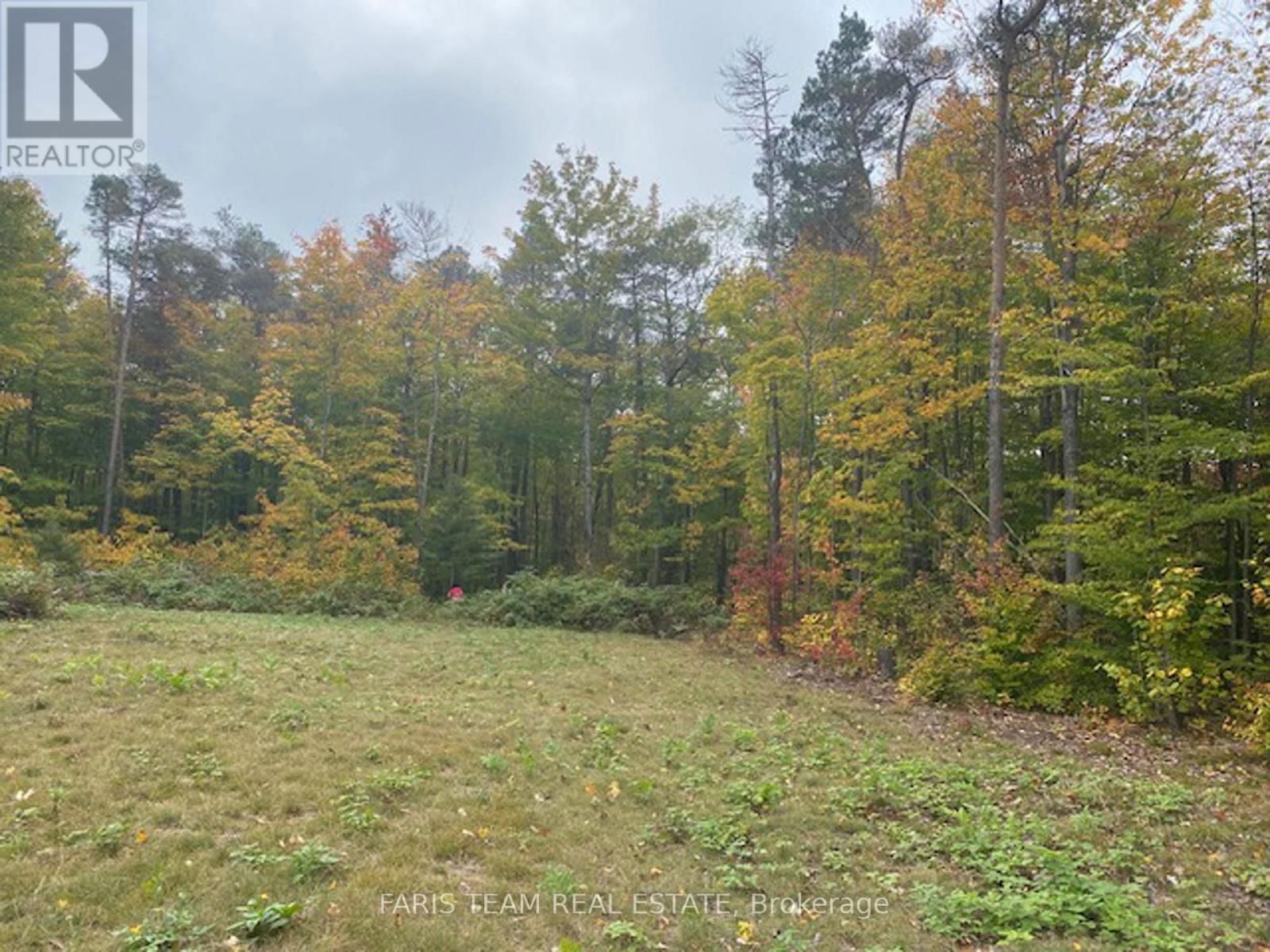 Lot 11 DORION ROAD Image 14