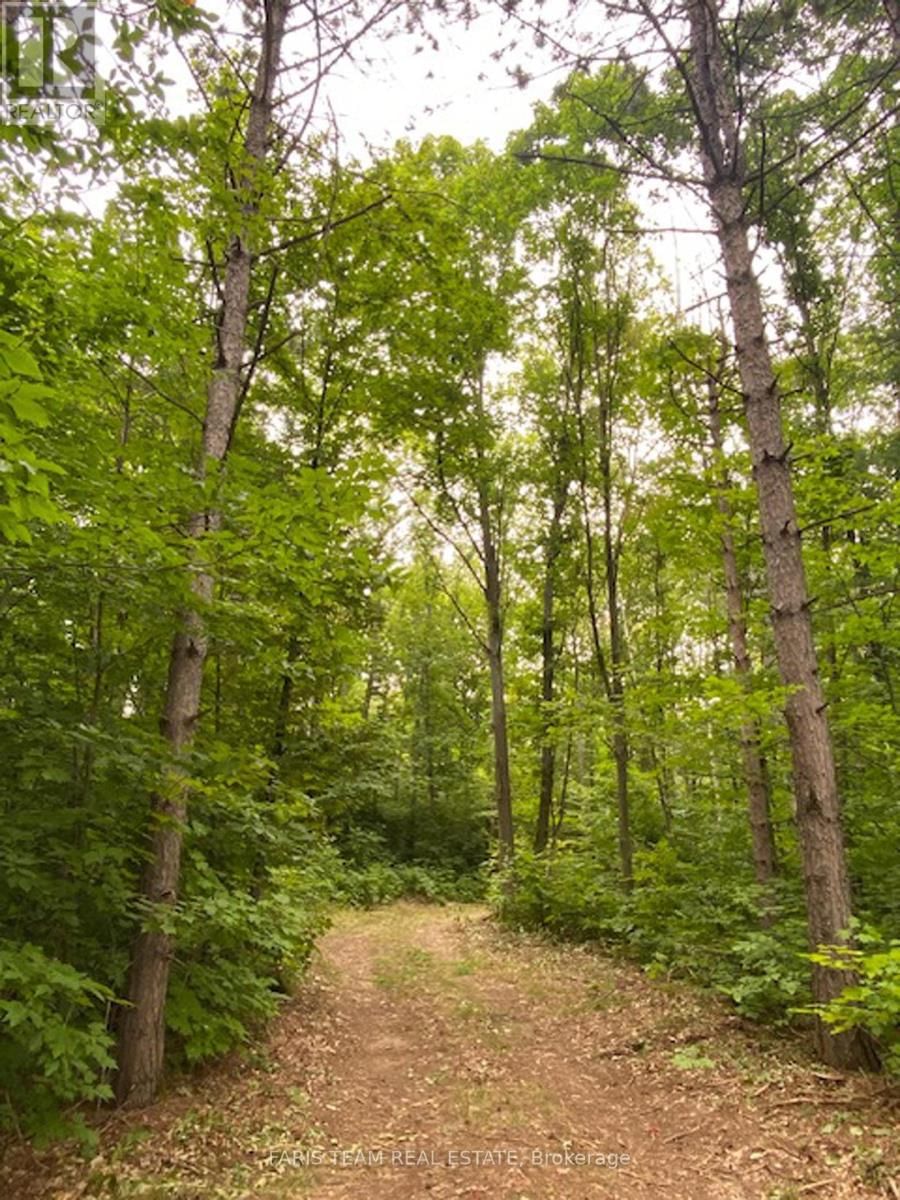 Lot 11 DORION ROAD Image 15