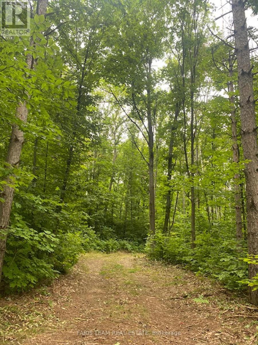 Lot 11 DORION ROAD Image 16