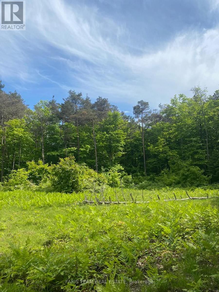 Lot 11 DORION ROAD Image 17