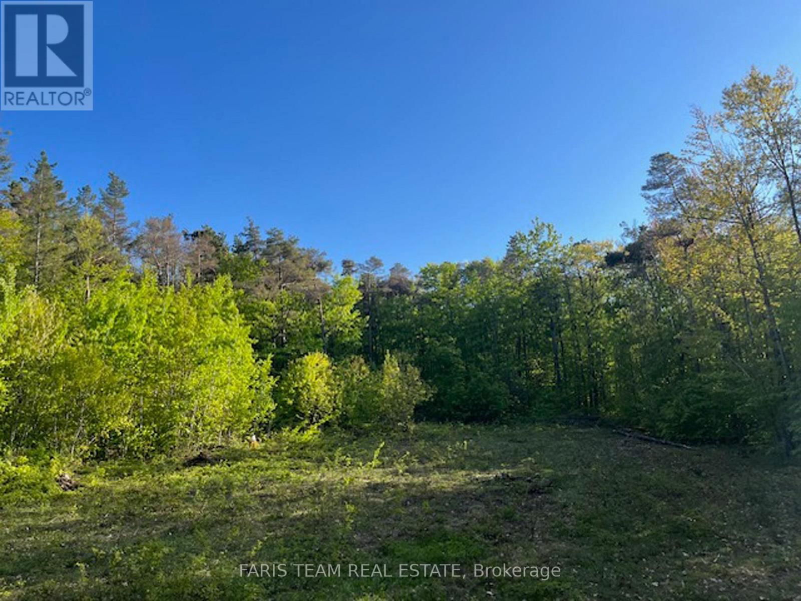 Lot 11 DORION ROAD Image 9