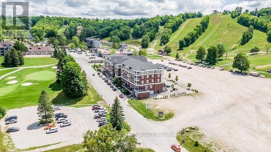 Primary Property View