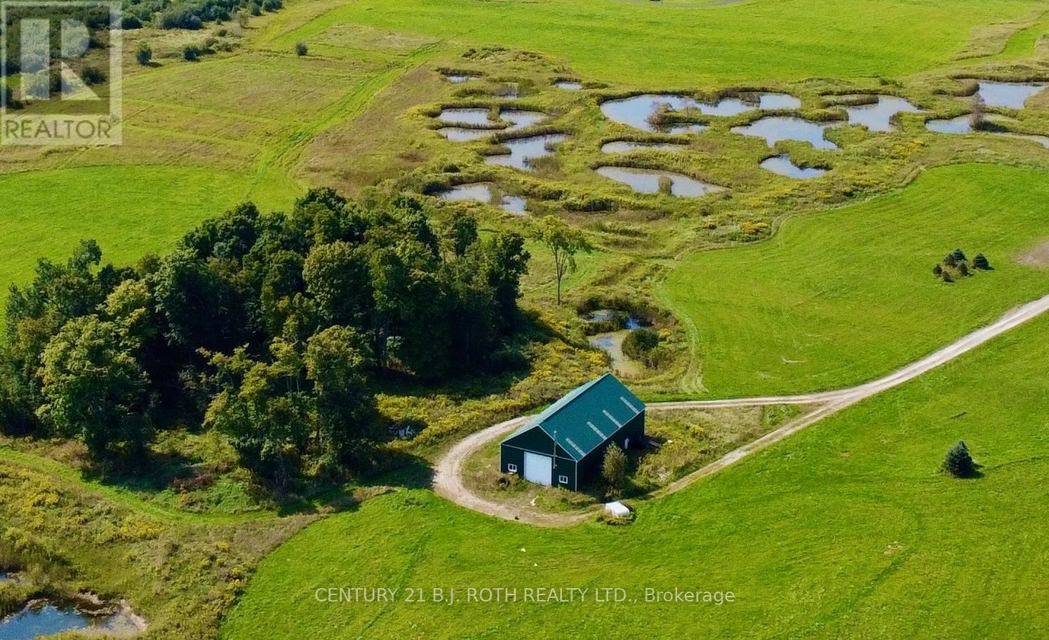 253 CRAIG SIDEROAD Image 3