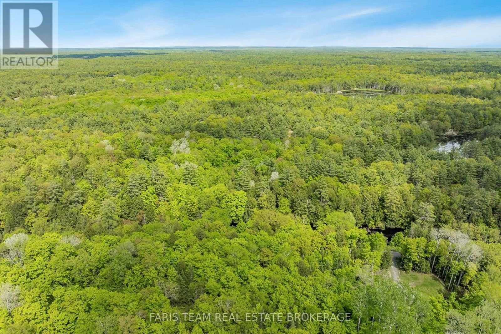 7950 KINGS RIVER ROAD Image 6