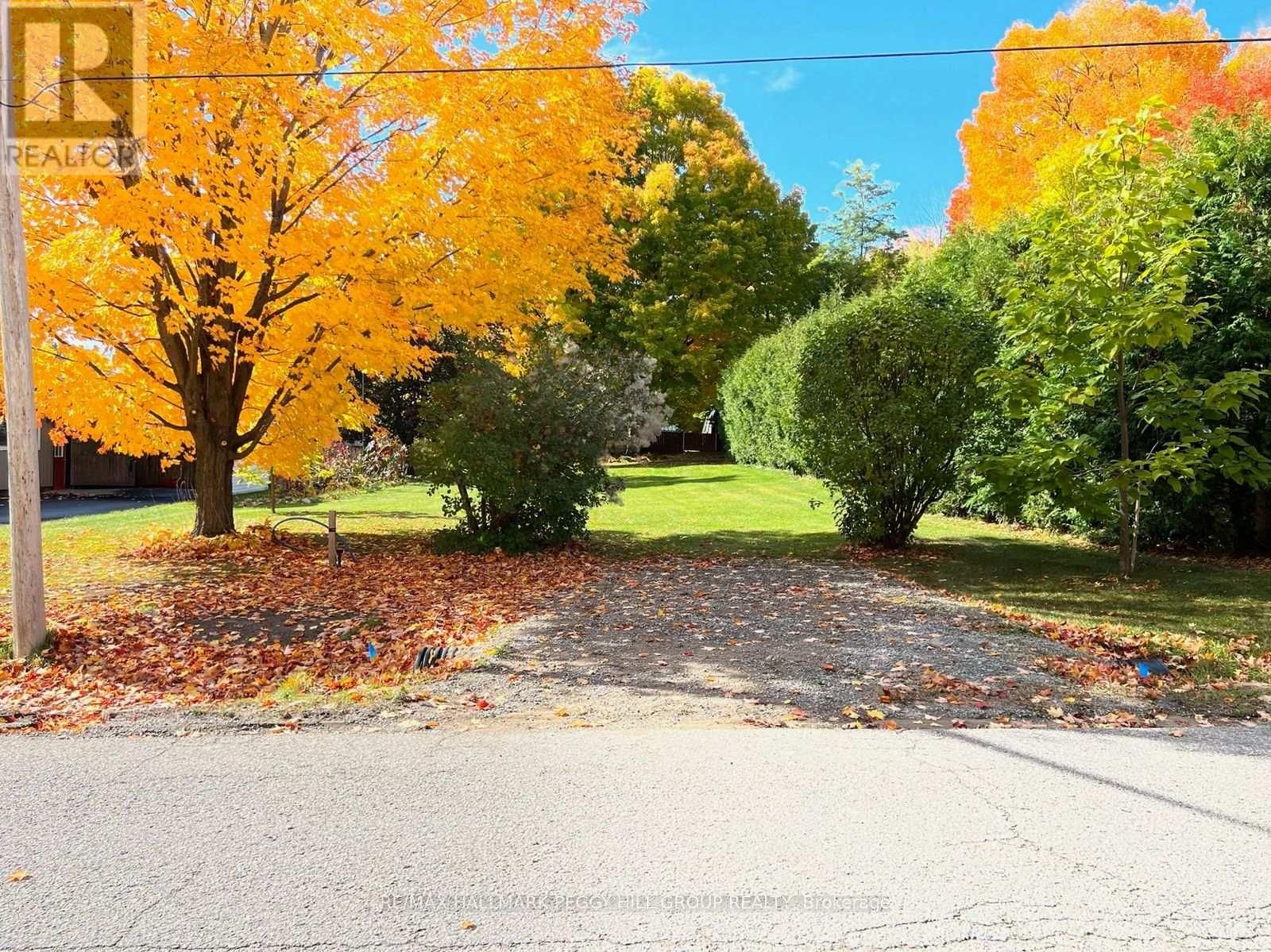 318 PALMER STREET Image 6