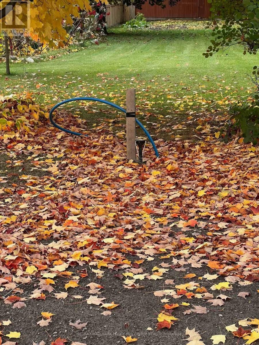 318 PALMER STREET Image 7