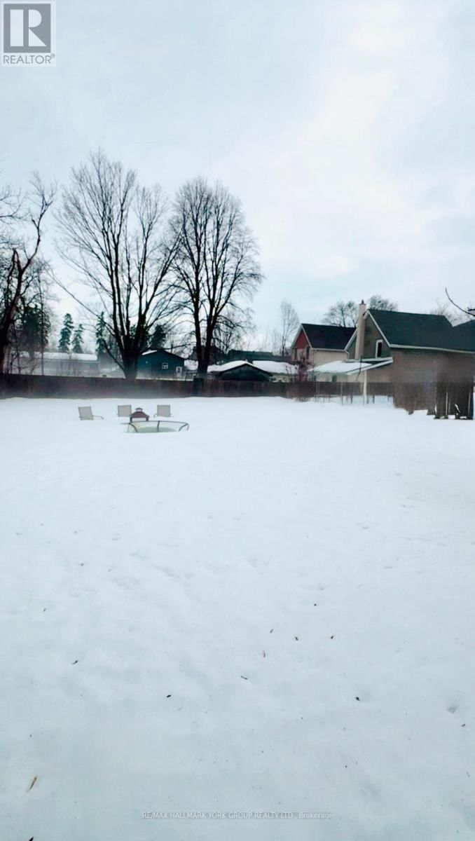 Main Rear - 165 ANNE STREET SOUTH Image 9