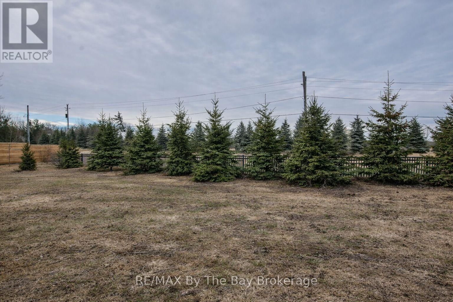 30 IVY CRESCENT Image 20