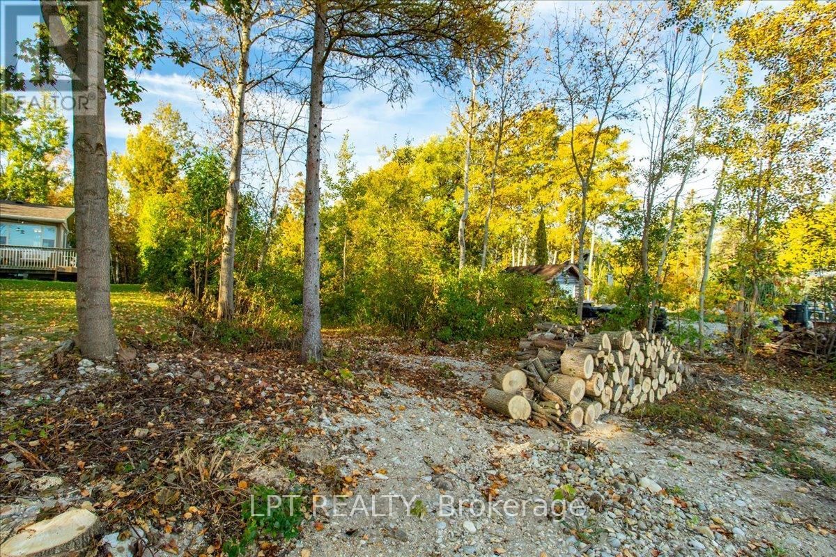 41 GLEN ROAD Image 18