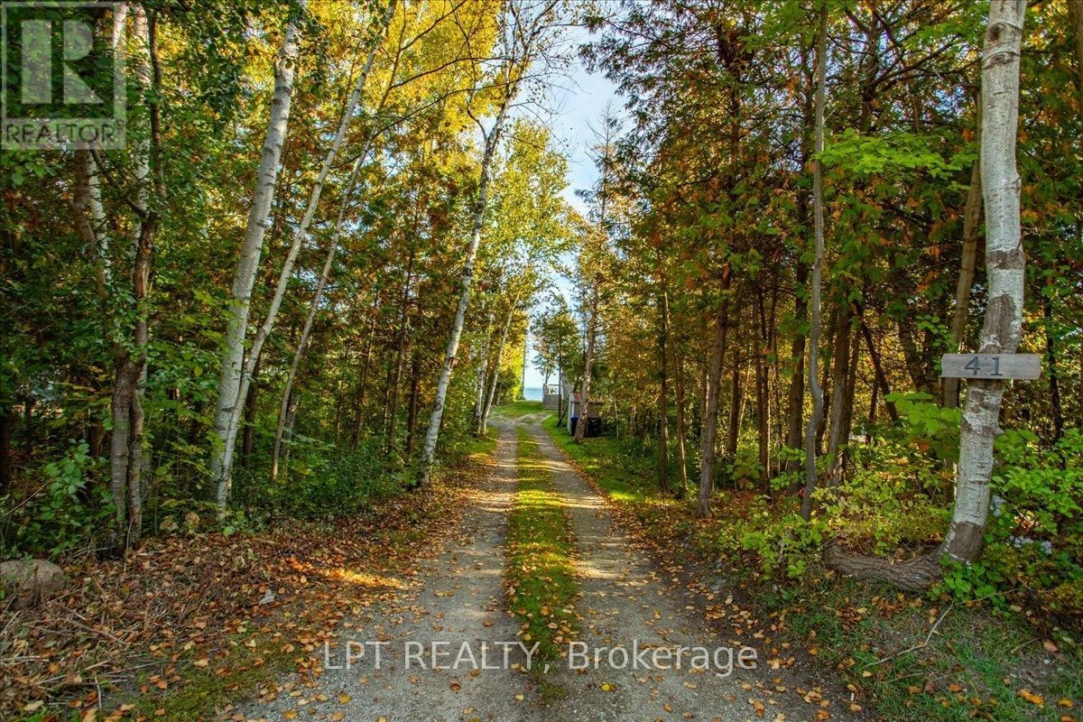 41 GLEN ROAD Image 22