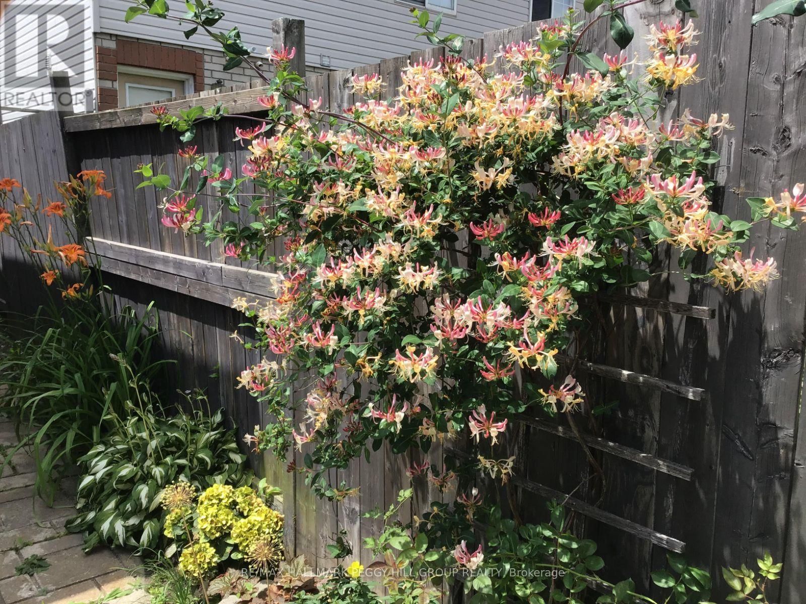 72 STANLEY STREET Image 14