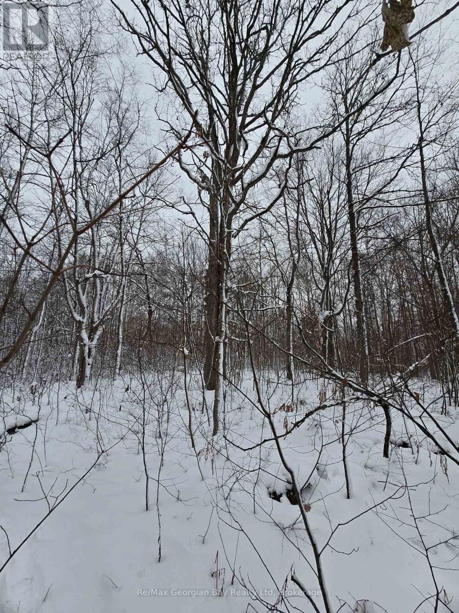 1666 BALKWILL LINE Image 33