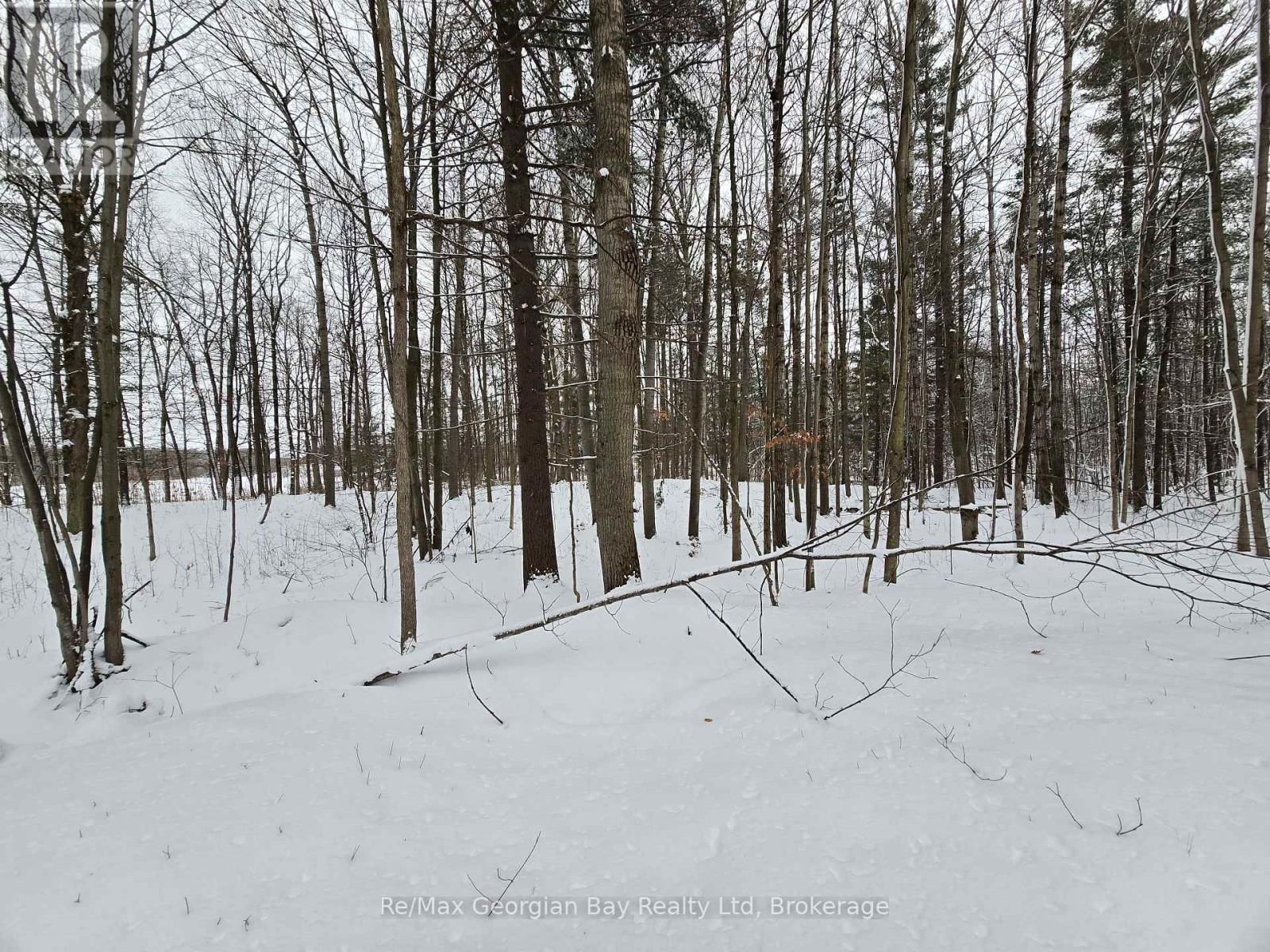 1666 BALKWILL LINE Image 36