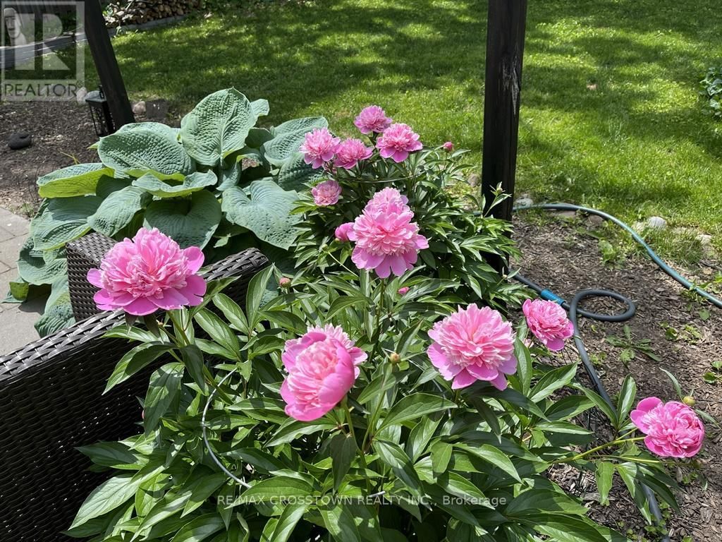 99 BISHOP DRIVE Image 39