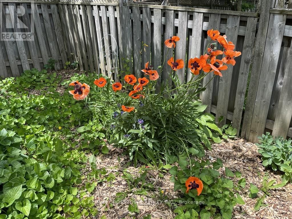 99 BISHOP DRIVE Image 40