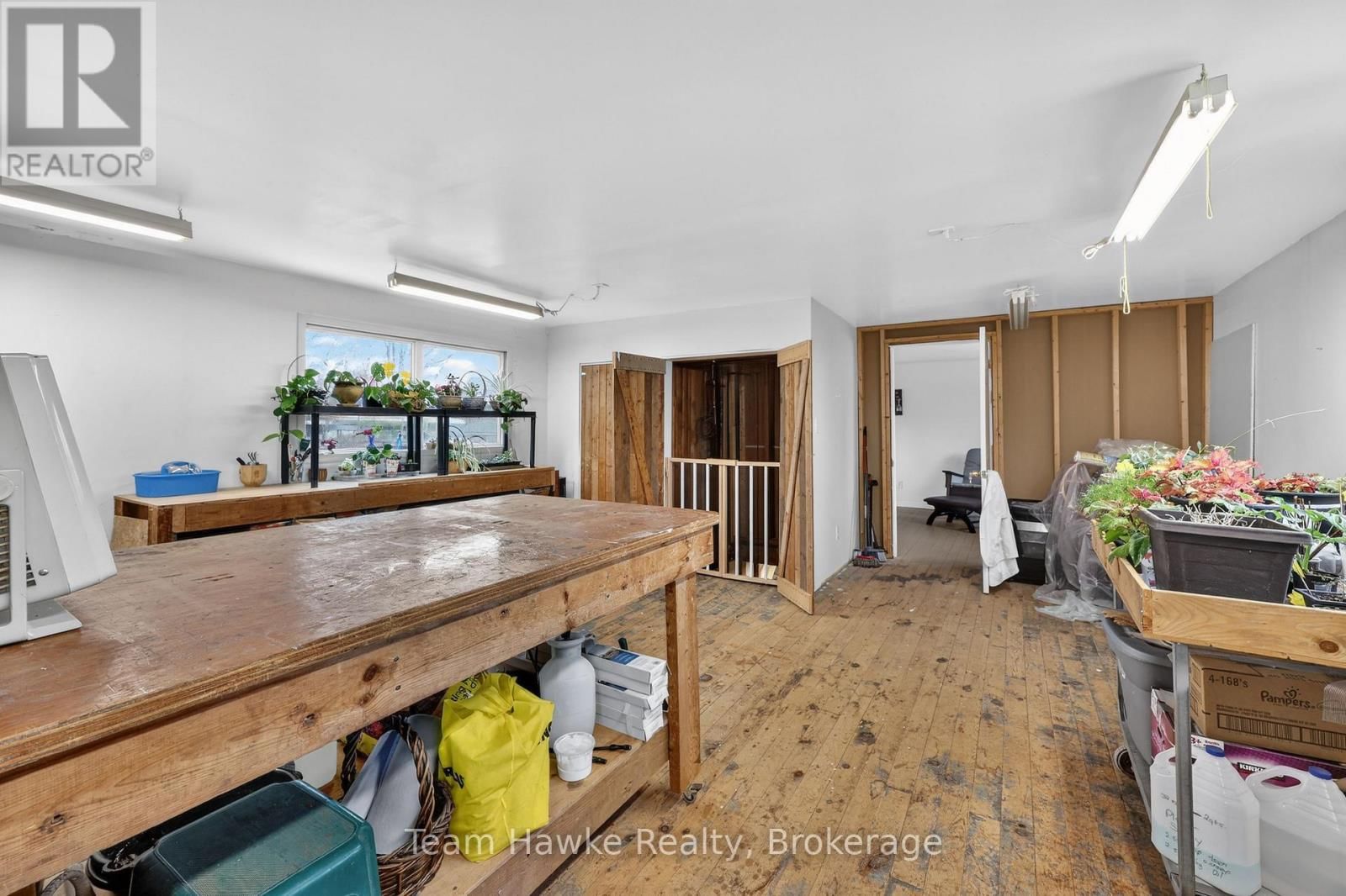 443 ELIZABETH STREET Image 25