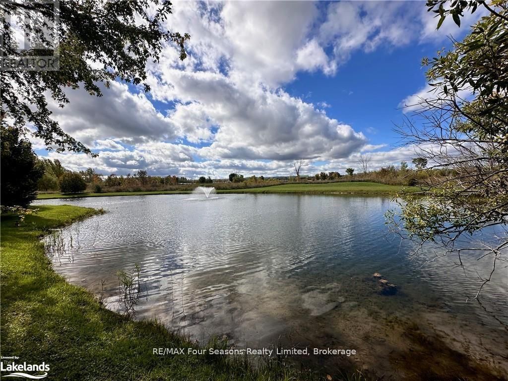 6528 30 31 NOTTAWASAGA SIDE ROAD Image 7