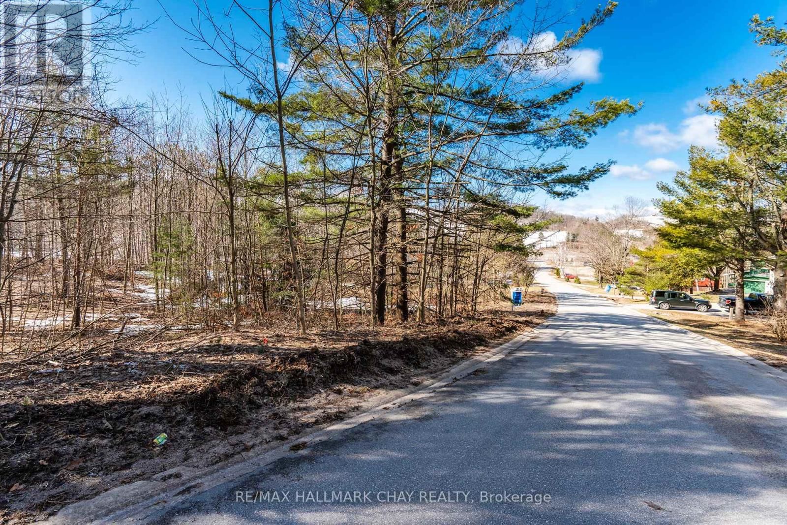 19 BIRCH GROVE DRIVE Image 3