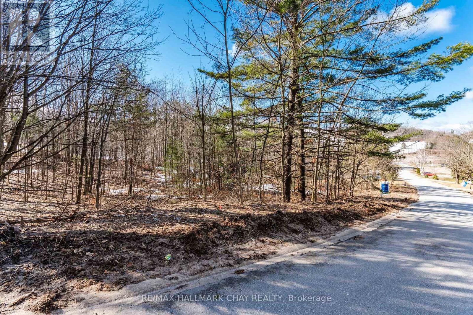 19 BIRCH GROVE DRIVE Image 4