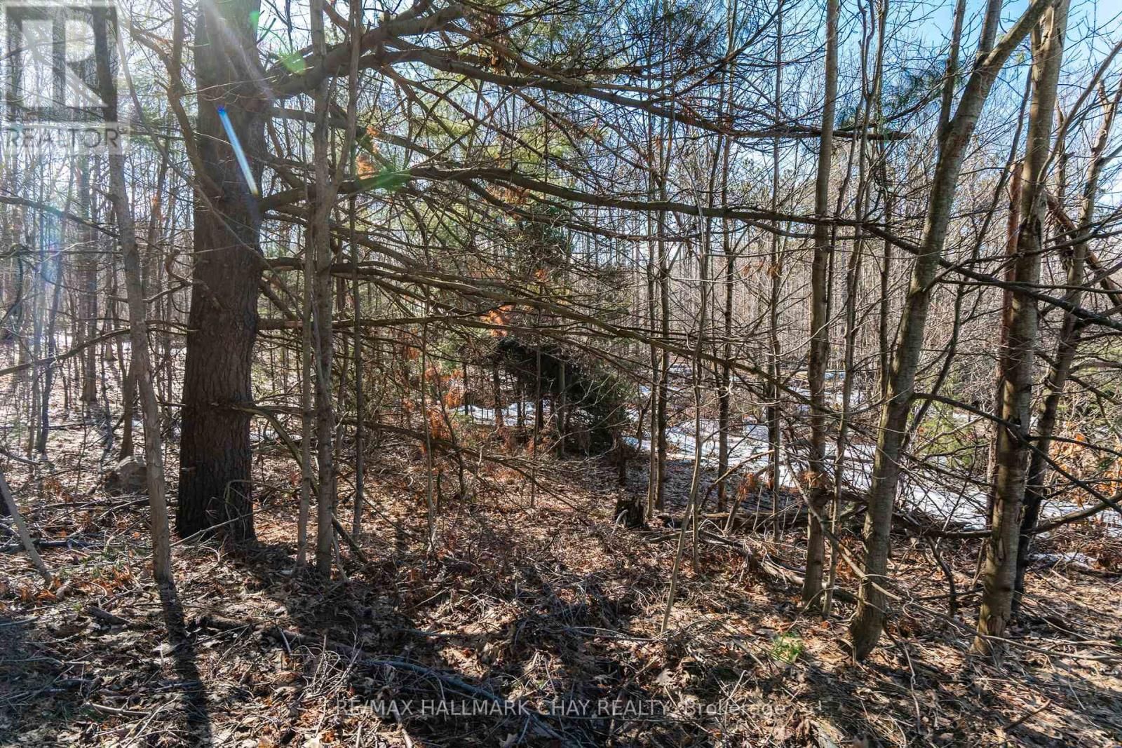 19 BIRCH GROVE DRIVE Image 9