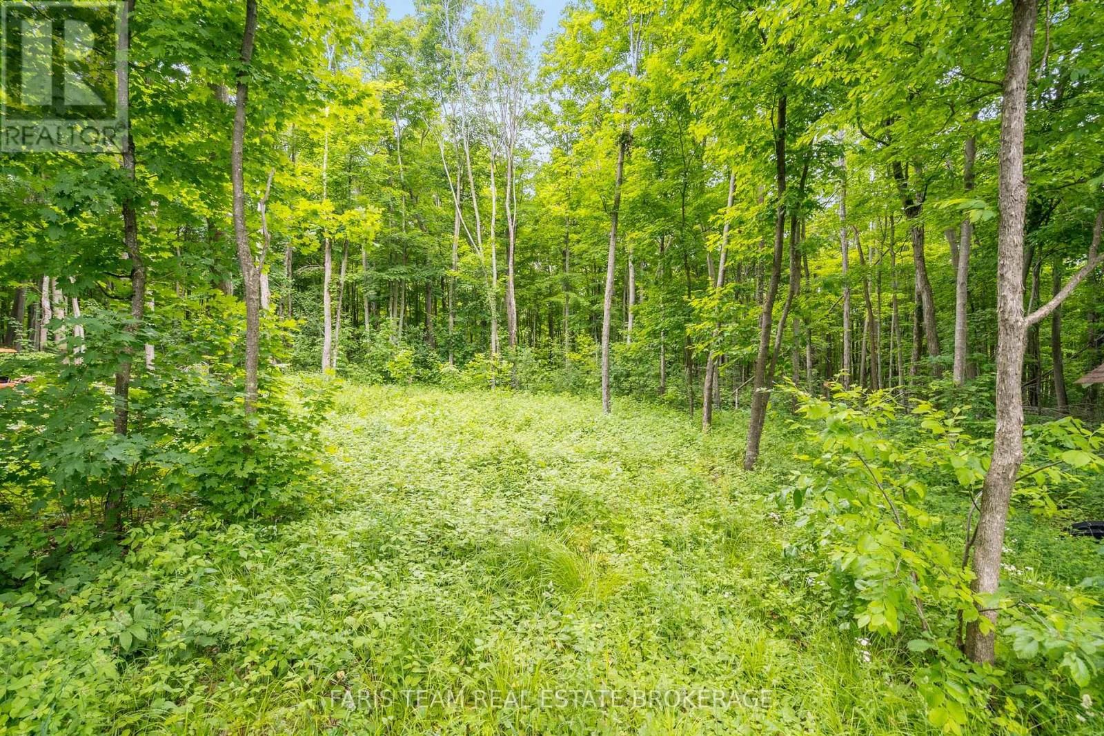 365 ROBINS POINT ROAD Image 20