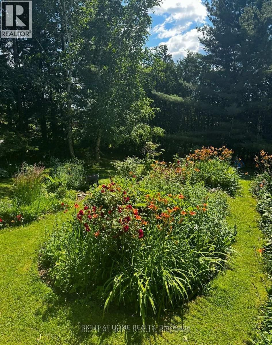 1628 WARMINSTER SIDEROAD Image 27