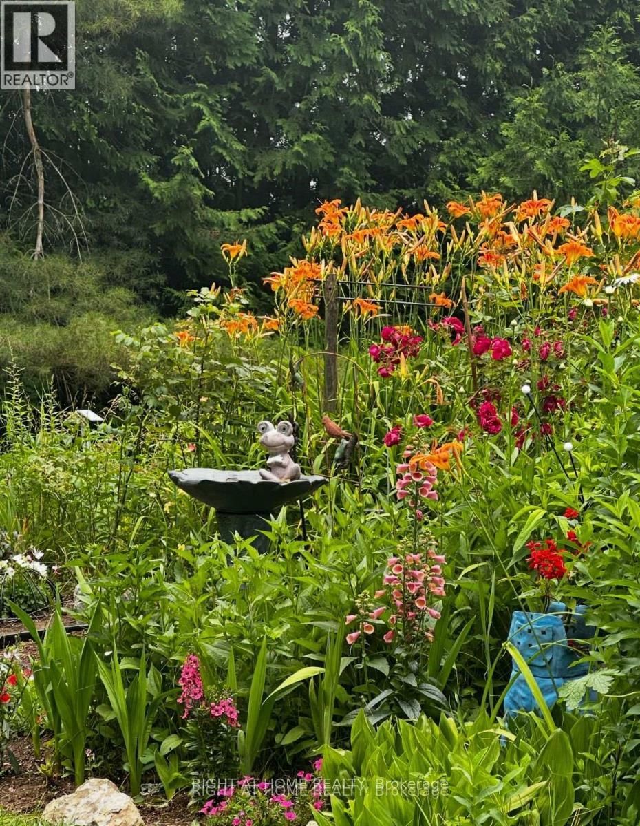 1628 WARMINSTER SIDEROAD Image 28