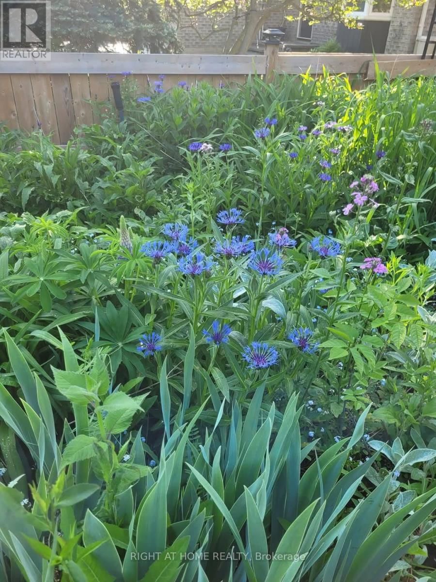 177 MEDONTE 2 SIDEROAD Image 33