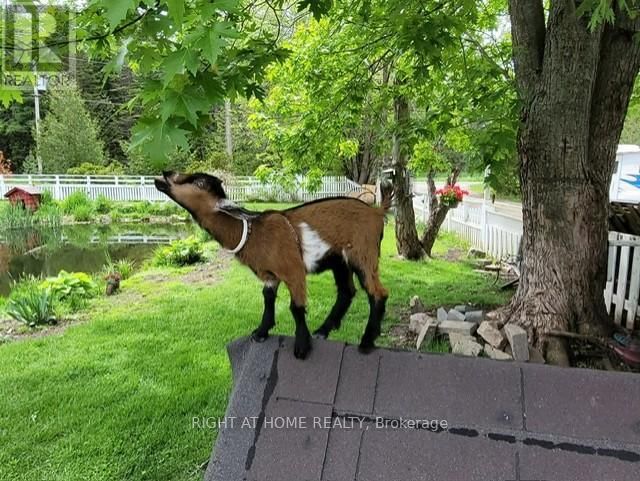 177 MEDONTE 2 SIDEROAD Image 34