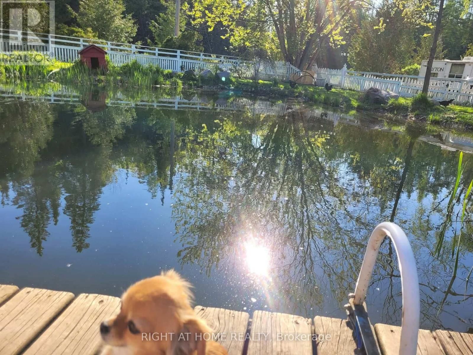 177 MEDONTE 2 SIDEROAD Image 38