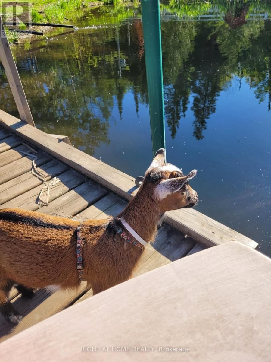 177 MEDONTE 2 SIDEROAD Image 39