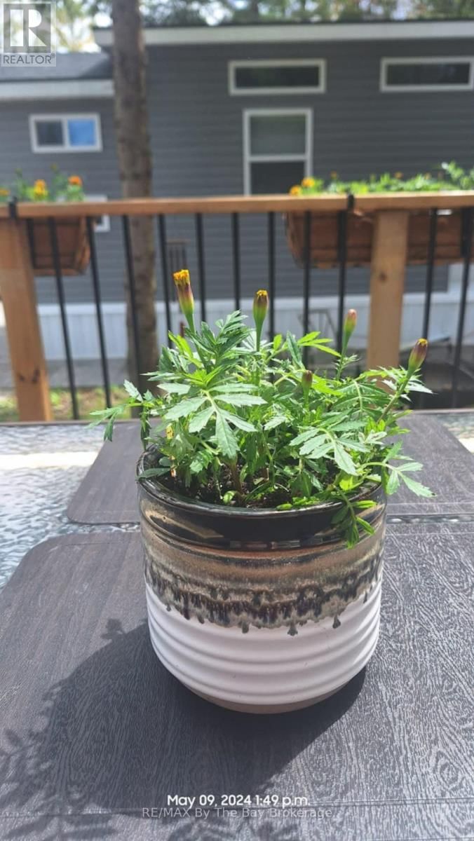 75 - 85 THEME PARK DRIVE Image 16