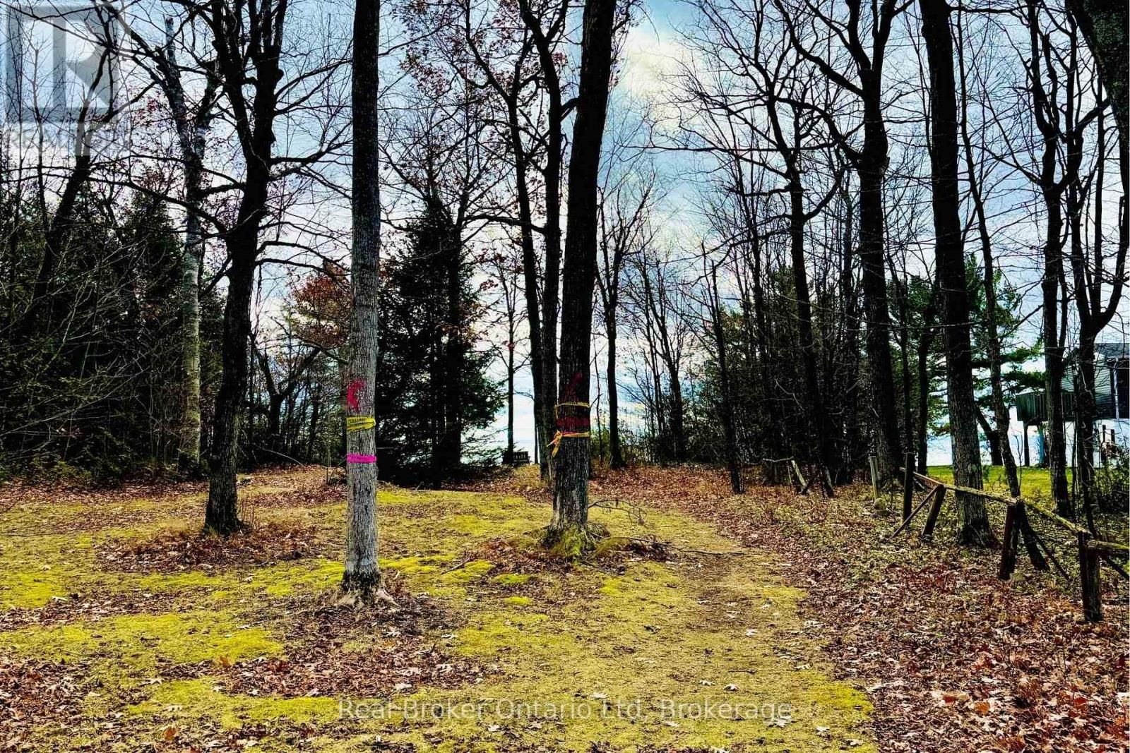 23 CROWN COURT Image 42