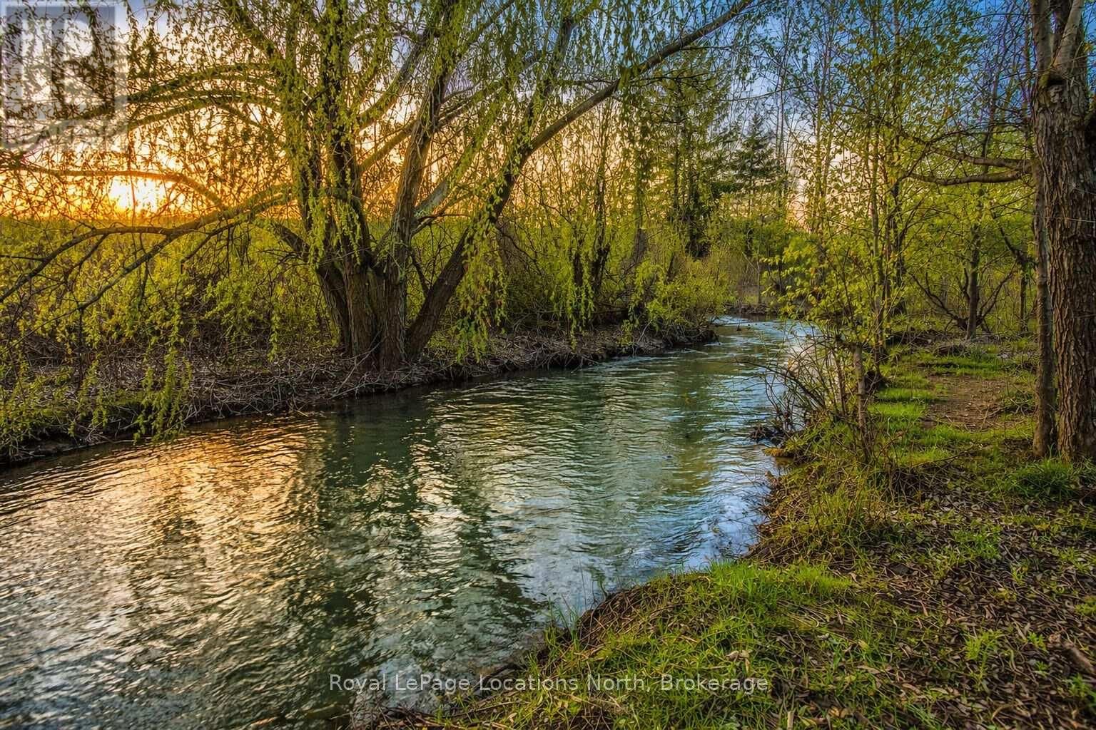 795853 GREY 19 ROAD Image 5