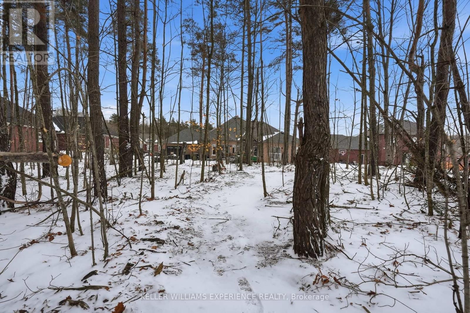 4 FOREST HEIGHTS COURT Image 46