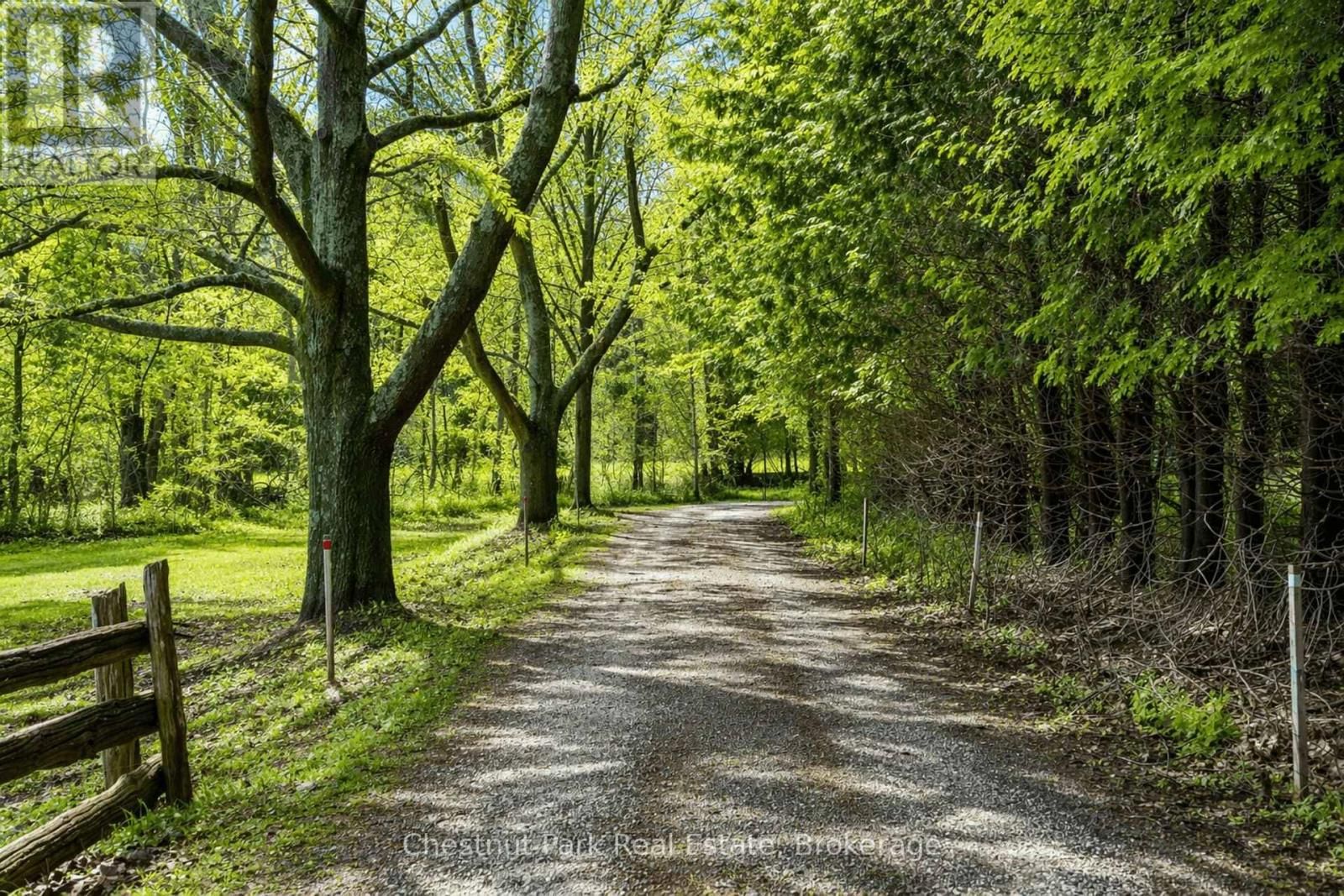 8943 COUNTY ROAD 9 Image 4