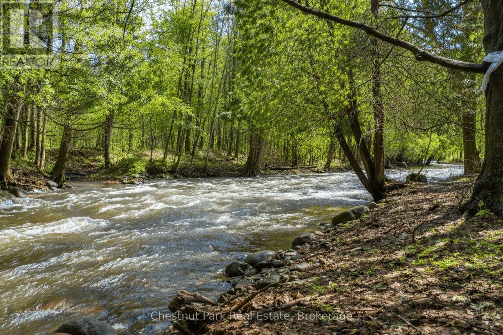 8943 COUNTY ROAD 9 Image 5