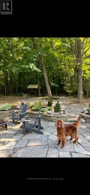 169 BAYVIEW AVENUE EAST Image 43