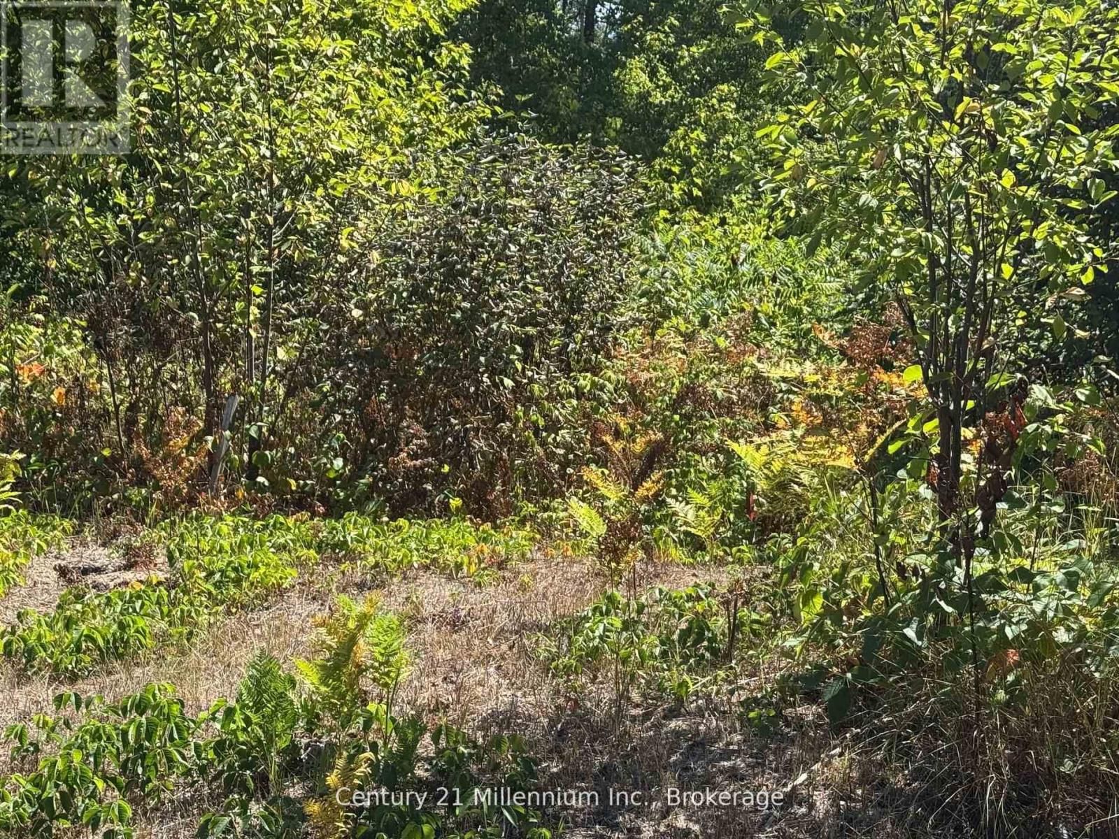 931 RIVER ROAD EAST Image 1