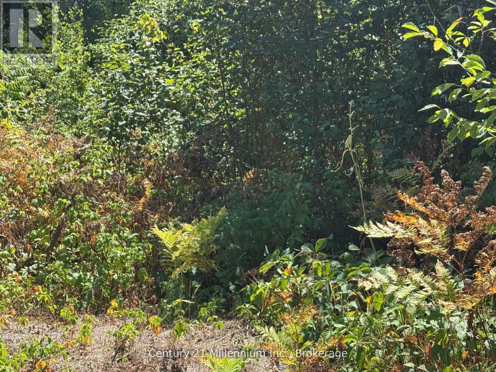 931 RIVER ROAD EAST Image 3