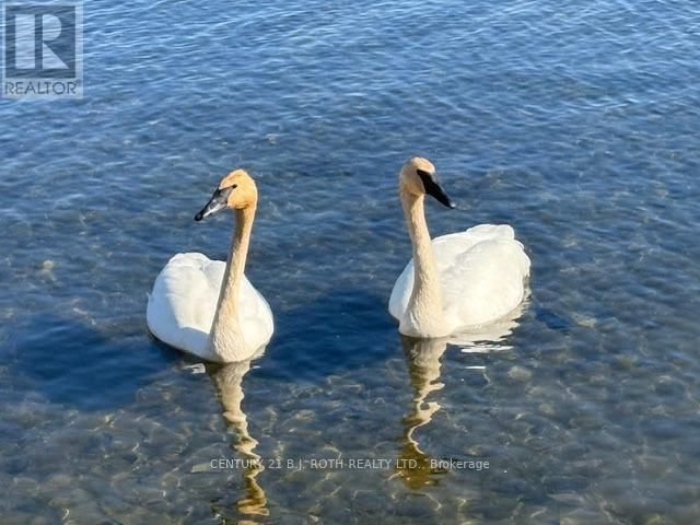 1931 WOODS BAY ROAD Image 37