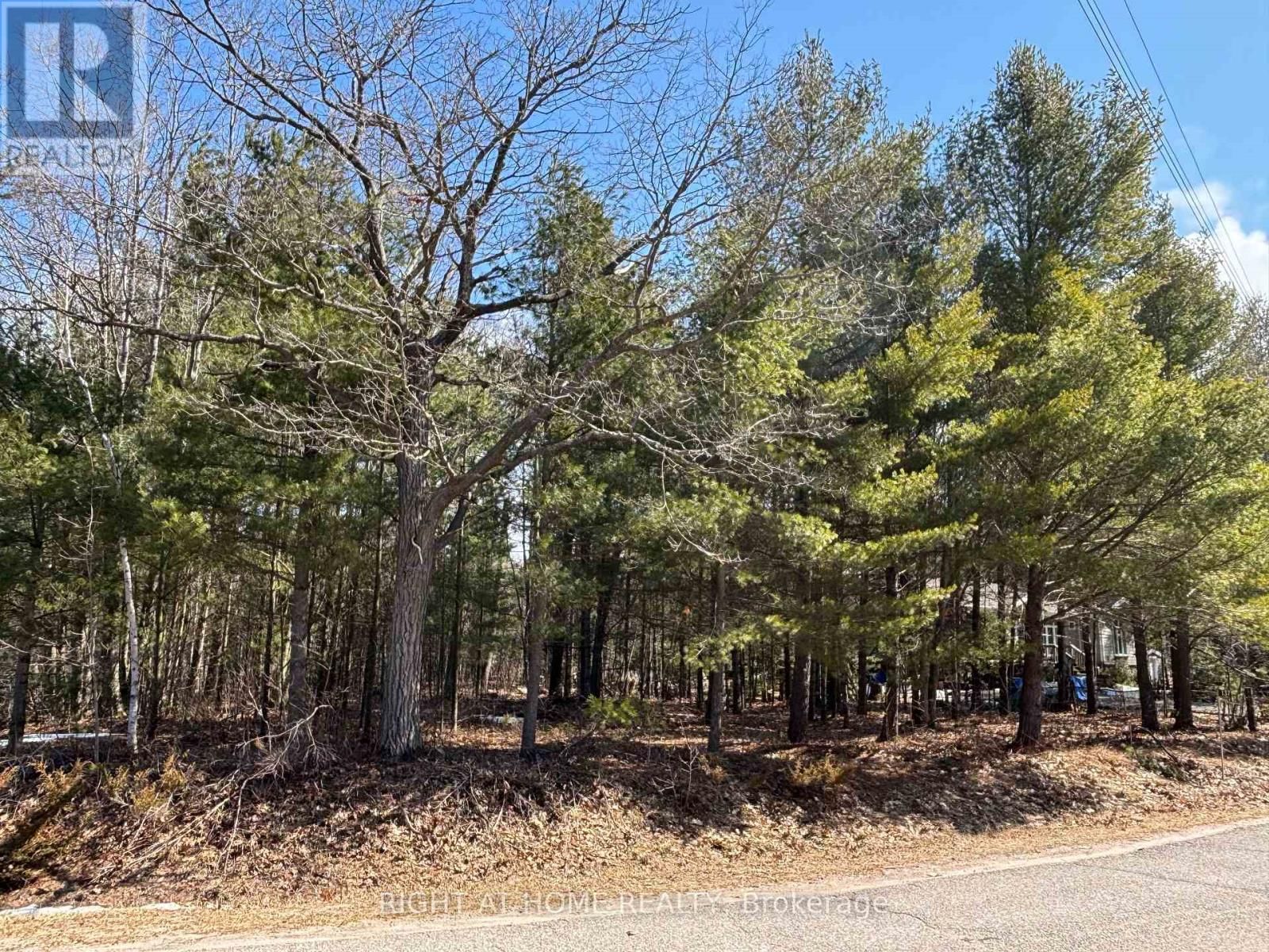 137 NICOLE BOULEVARD Image 2