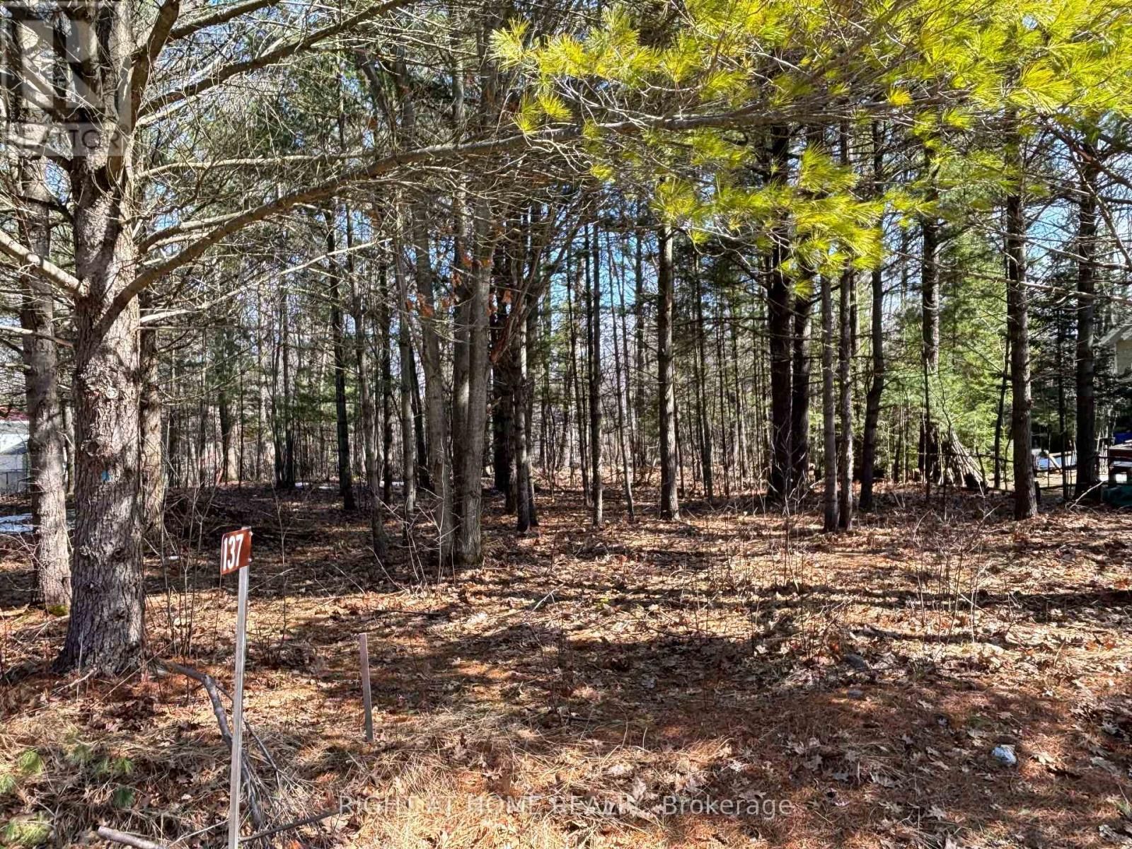 137 NICOLE BOULEVARD Image 3