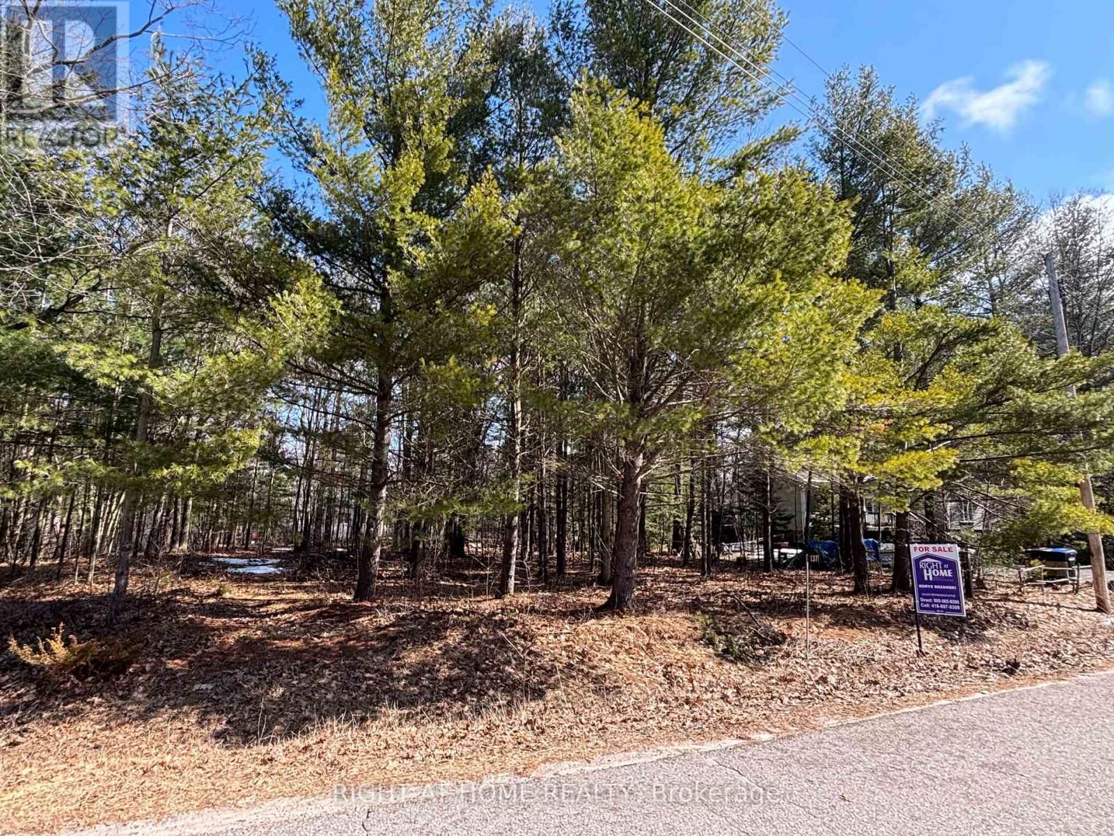 137 NICOLE BOULEVARD Image 7