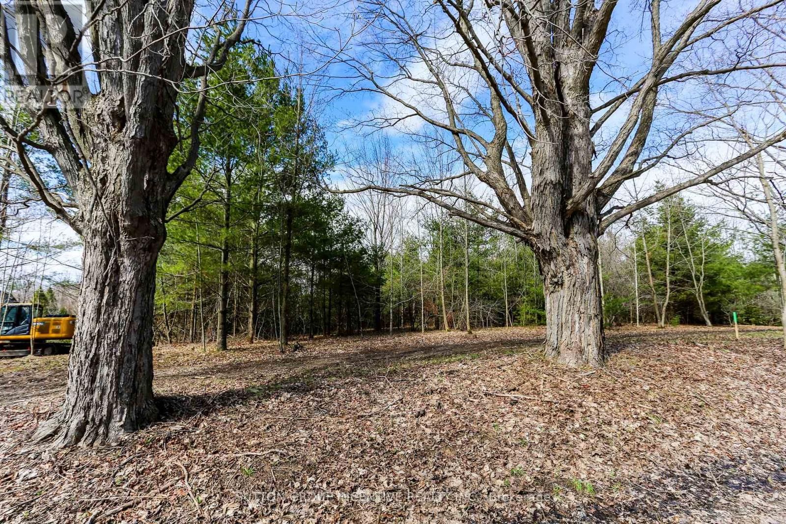 Part 4 - 2774 OLD SECOND ROAD SOUTH Image 4