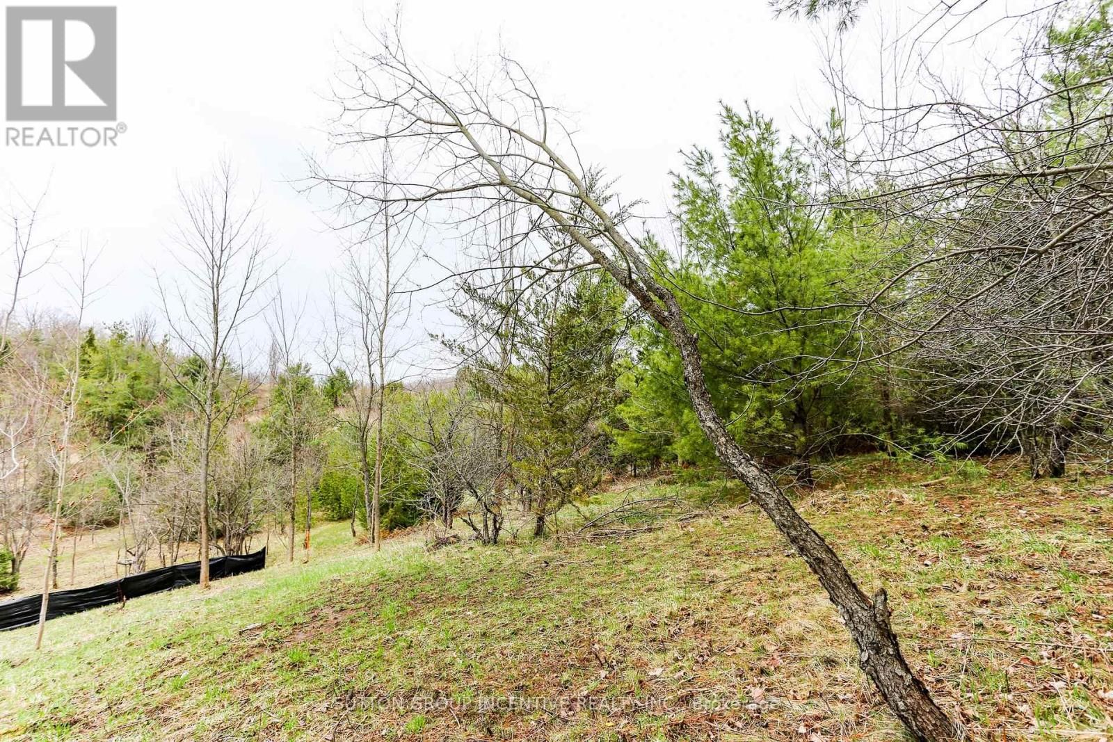 Part 4 - 2774 OLD SECOND ROAD SOUTH Image 5